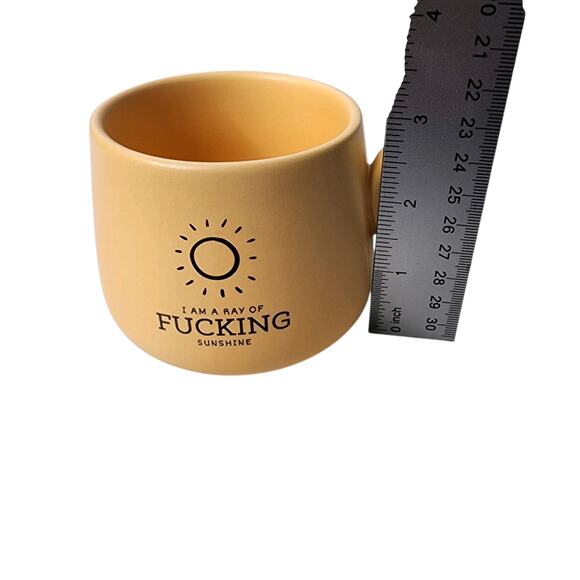 I am a Ray of F*cking Sunshine Ceramic Cappuccino Mug Cup By Properly Improper - Picture 7 of 7